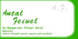 antal feiwel business card